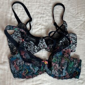 Freya Floral Leaf Underwire Bra in Navy, Teal, Pink